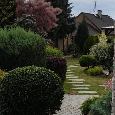 073 Komplertni Ralizace Zahrad 20180625 161605 1 Scaled 1080x1920 75